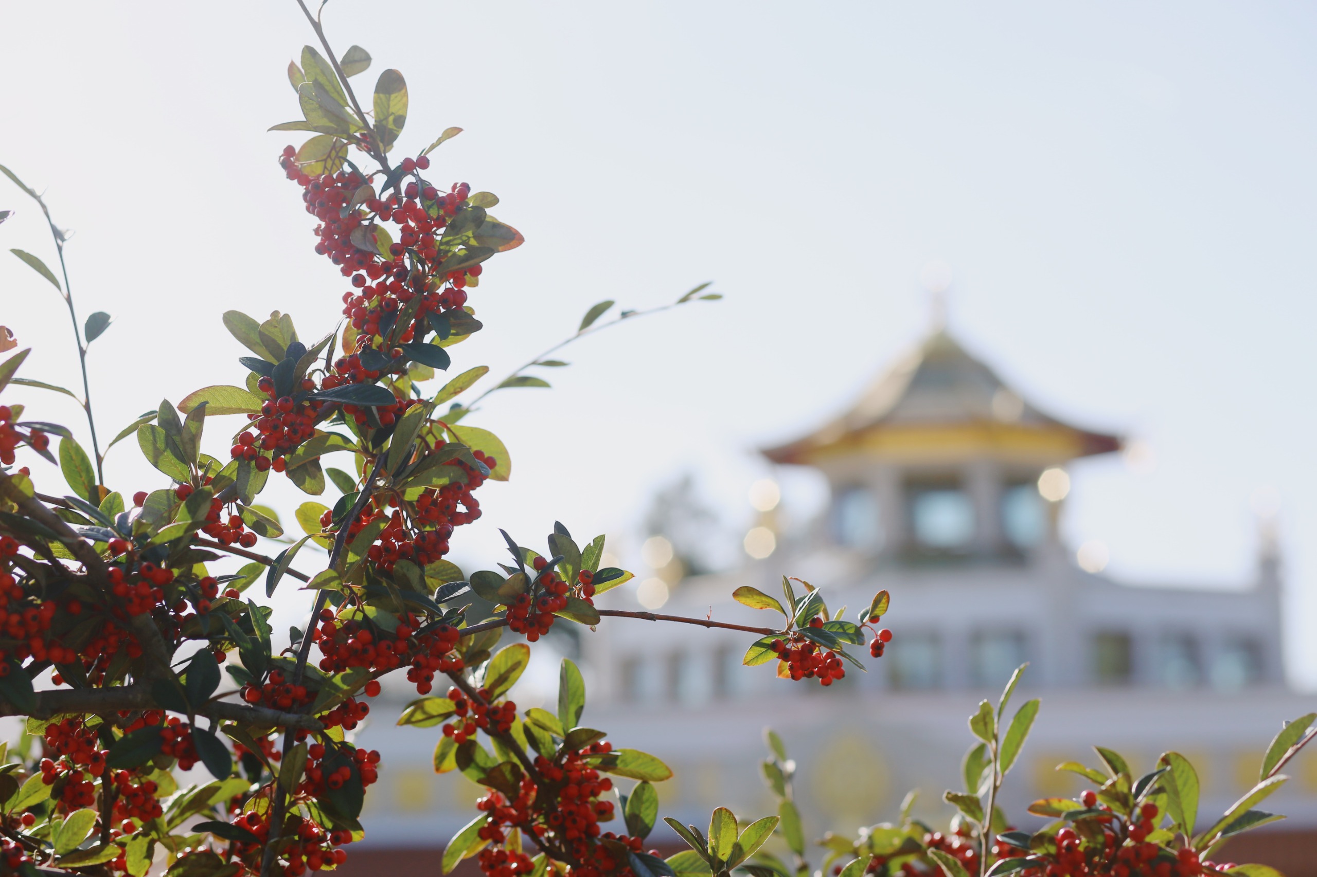 WhatsApp Image 2026-03-10 at 17.15